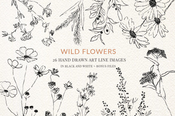 Download Wild Flowers Fine Line Clipart Hand Draw - Flowers Collection